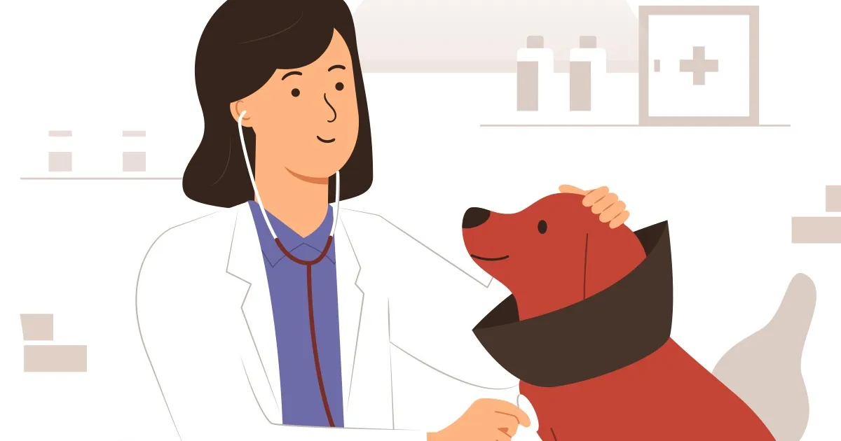 One Year of Veterinary Relief: Pros and Cons