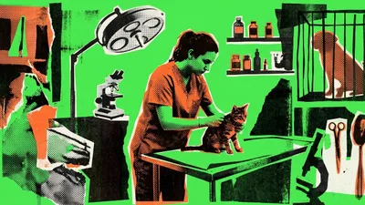 What Is a Relief Veterinarian? Complete Guide 2026